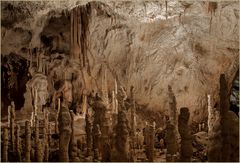 BÄRENHÖHLE CHISCAU-RUMÄNIEN.