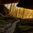 Bärenhöhle