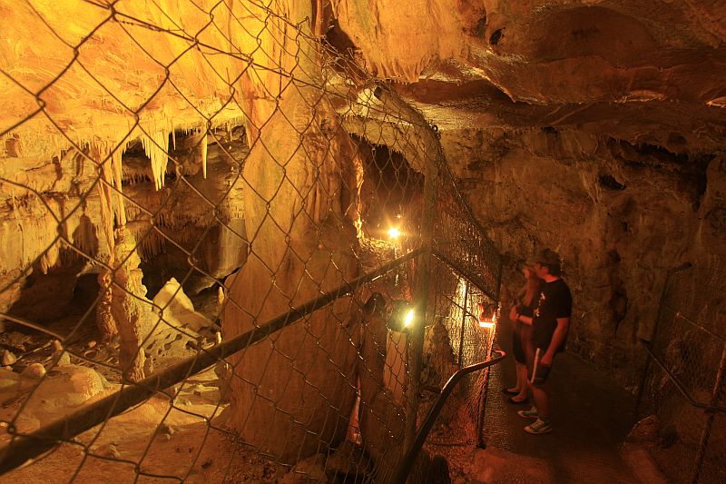 Bärenhöhle I