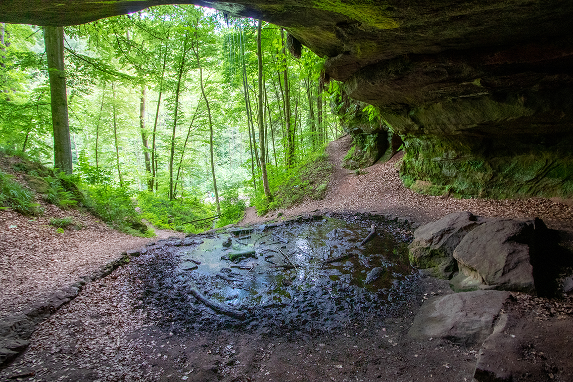 Bärenhöhle2