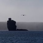 Bäreninsel in der Barentsee