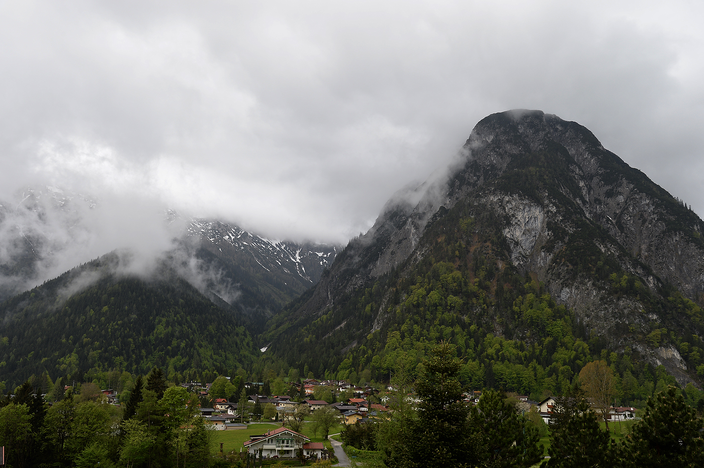 [ Bärenkopf wolkenverhangen ]