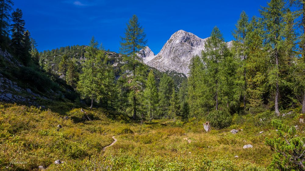 Bärenland oder Beerenland?