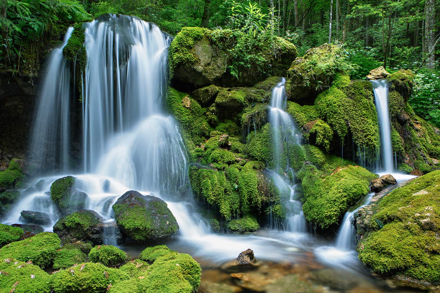 Bärenschützklamm