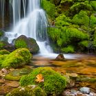 Bärenschützklamm