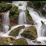 Bärenschützklamm