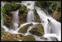 Bärenschützklamm