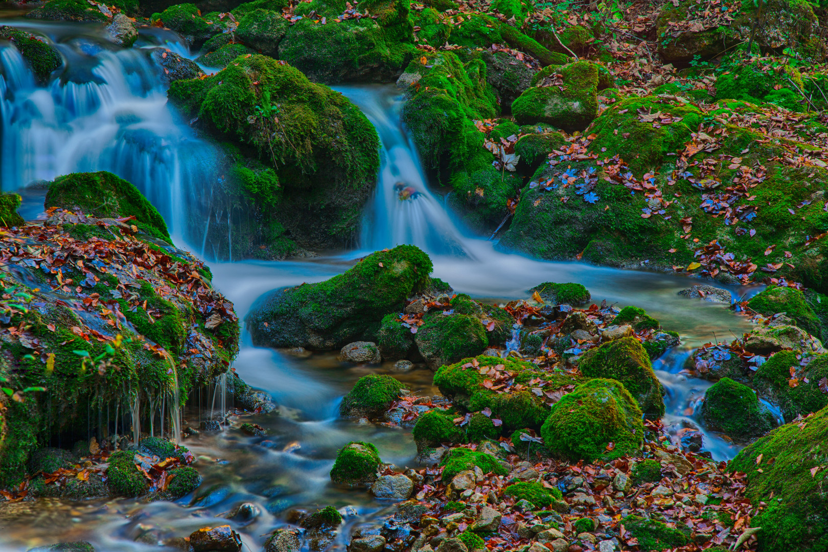 Bärenschützklamm I