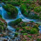 Bärenschützklamm I