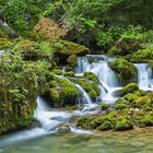 Bärenschützklamm III