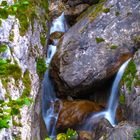 Bärenschützklamm2