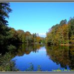 Bärensee Bei Stuttgart 2