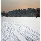 Bärensee im Januar