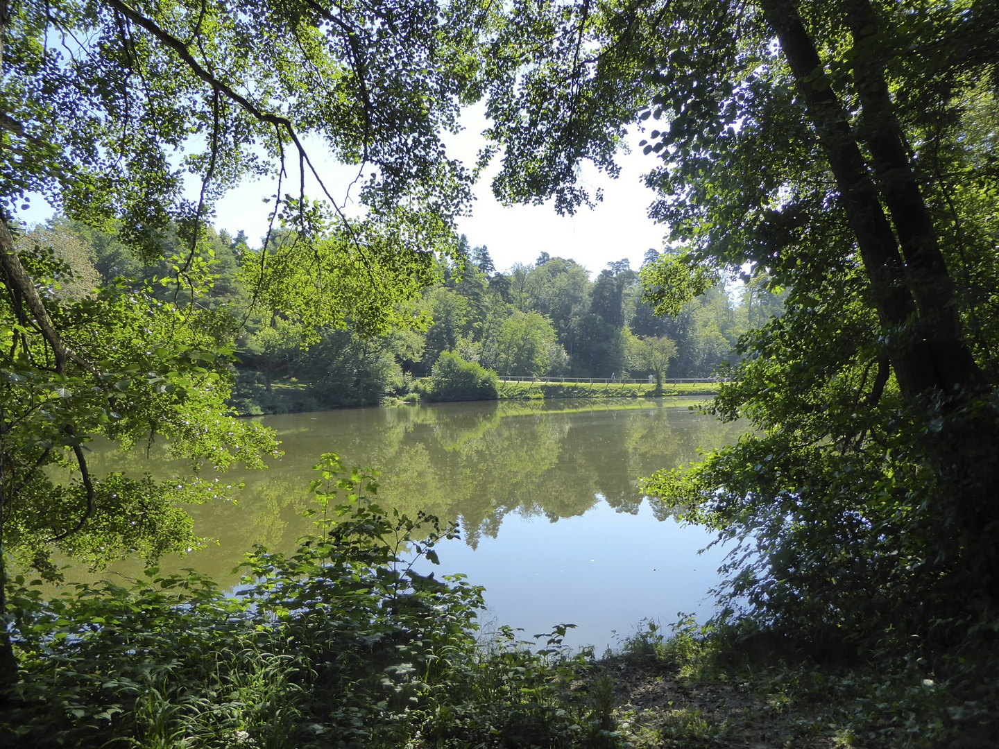 Bärensee im Sommer 1