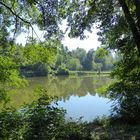 Bärensee im Sommer 1