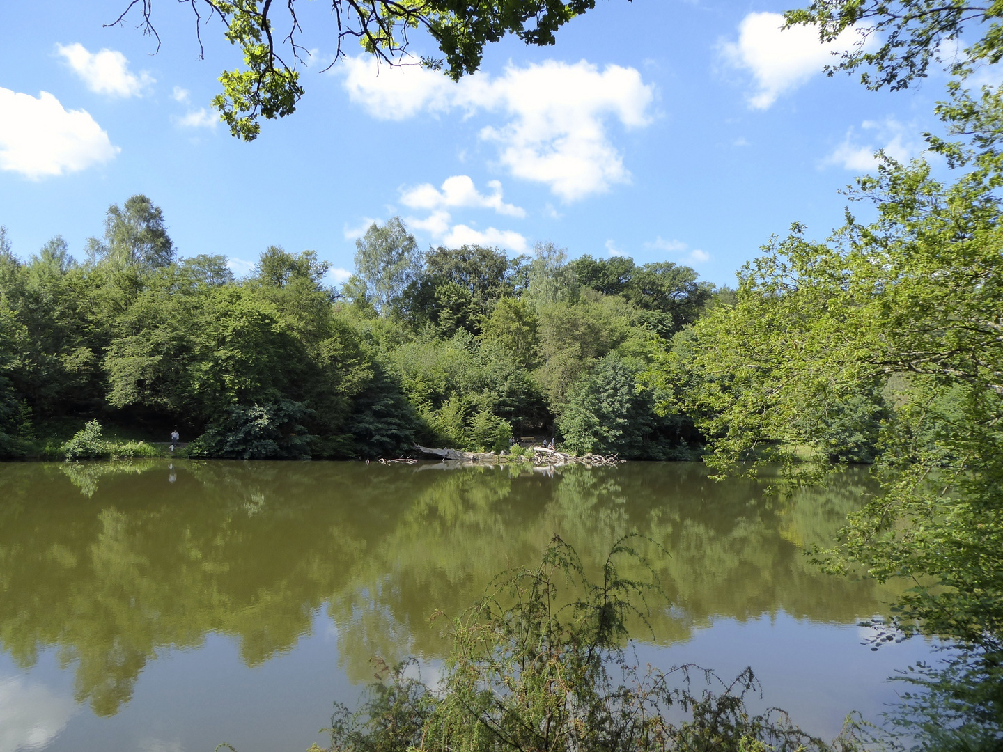 Bärensee im Sommer 2