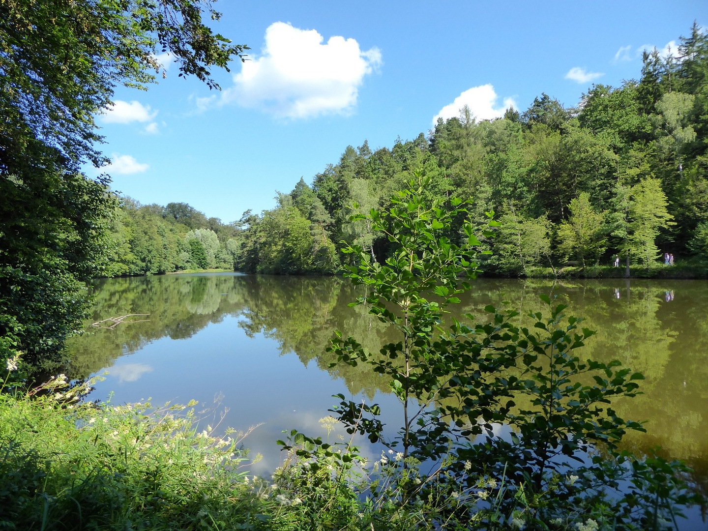 Bärensee im Sommer 3