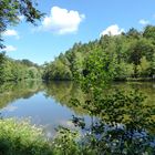 Bärensee im Sommer 3