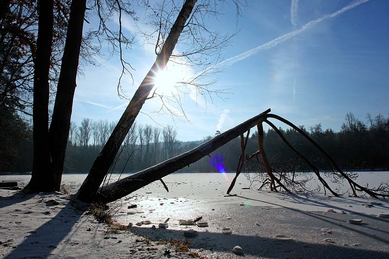 Bärensee / Stuttgart