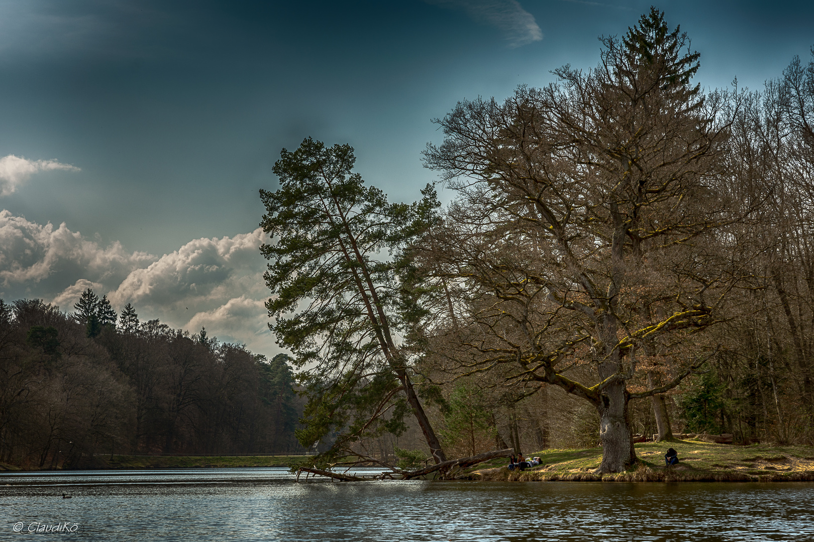 Bärensee Stuttgart