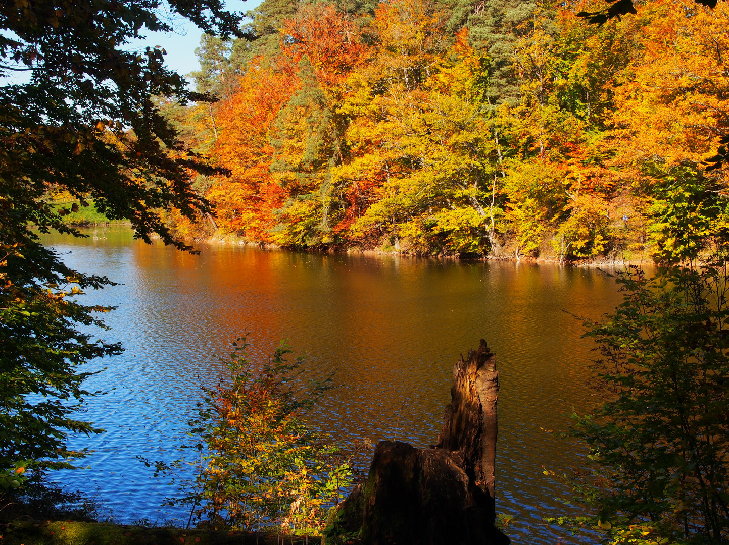 Bärensee Stuttgart