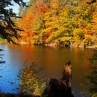 Bärensee Stuttgart
