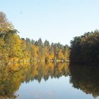 Bärensee  Wasserspiegelungen (Stgrt.)