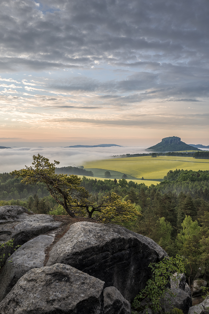 Bärenstein II