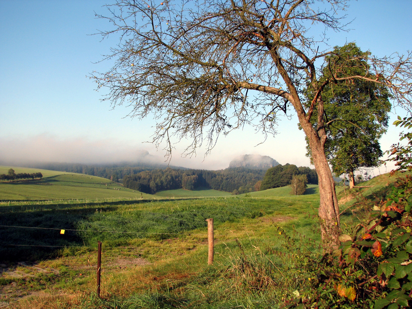 Bärensteine /Sächsische Schweiz