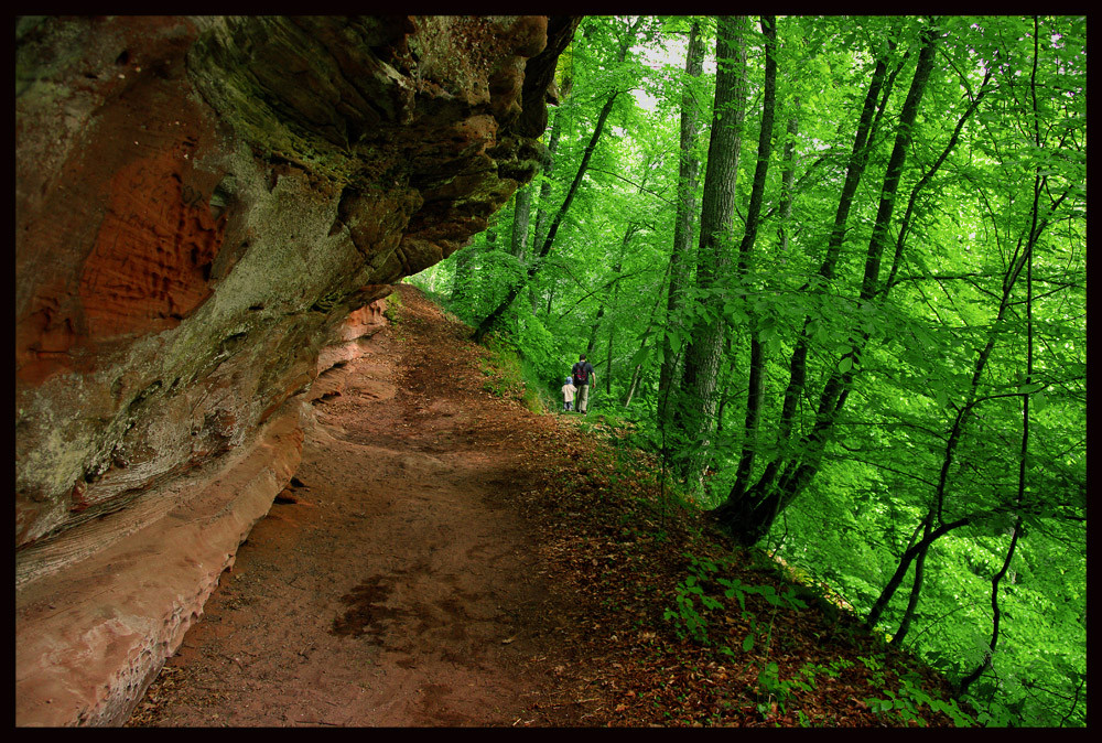 Baerenthal Spaziergang 2 Foto & Bild europe, france, alsace elsass