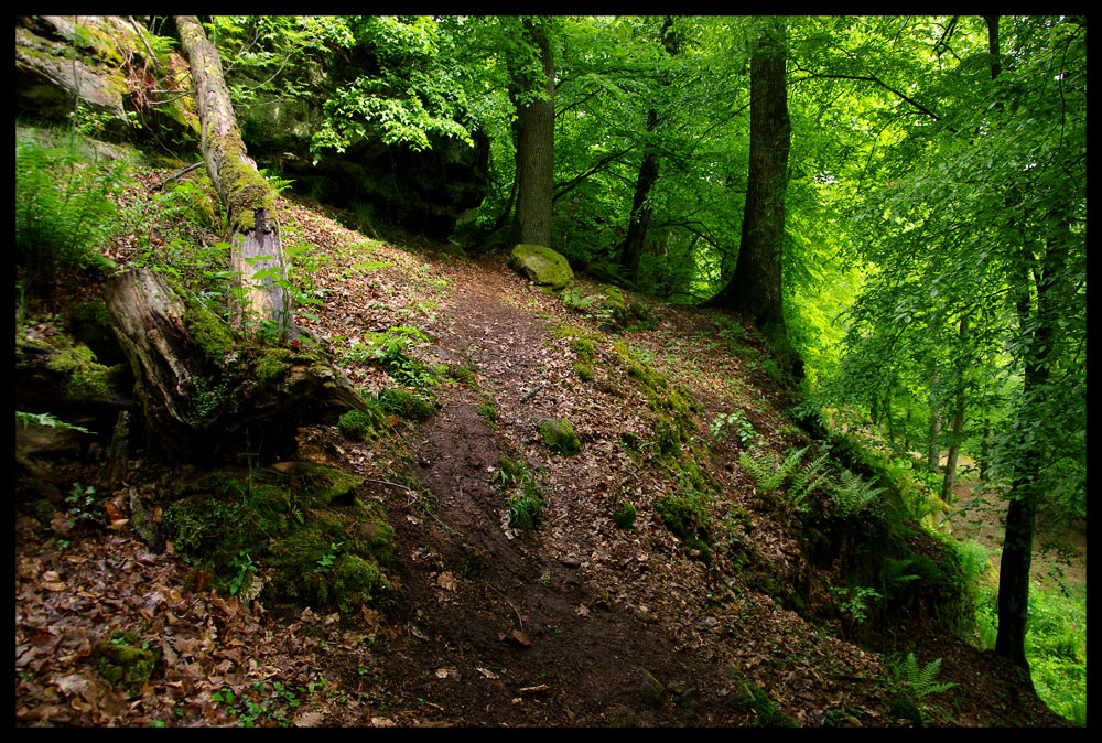 Baerenthal Spaziergang: #3