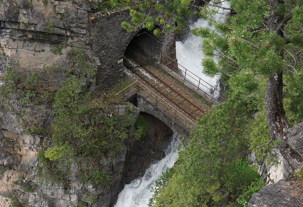 Bärentritt