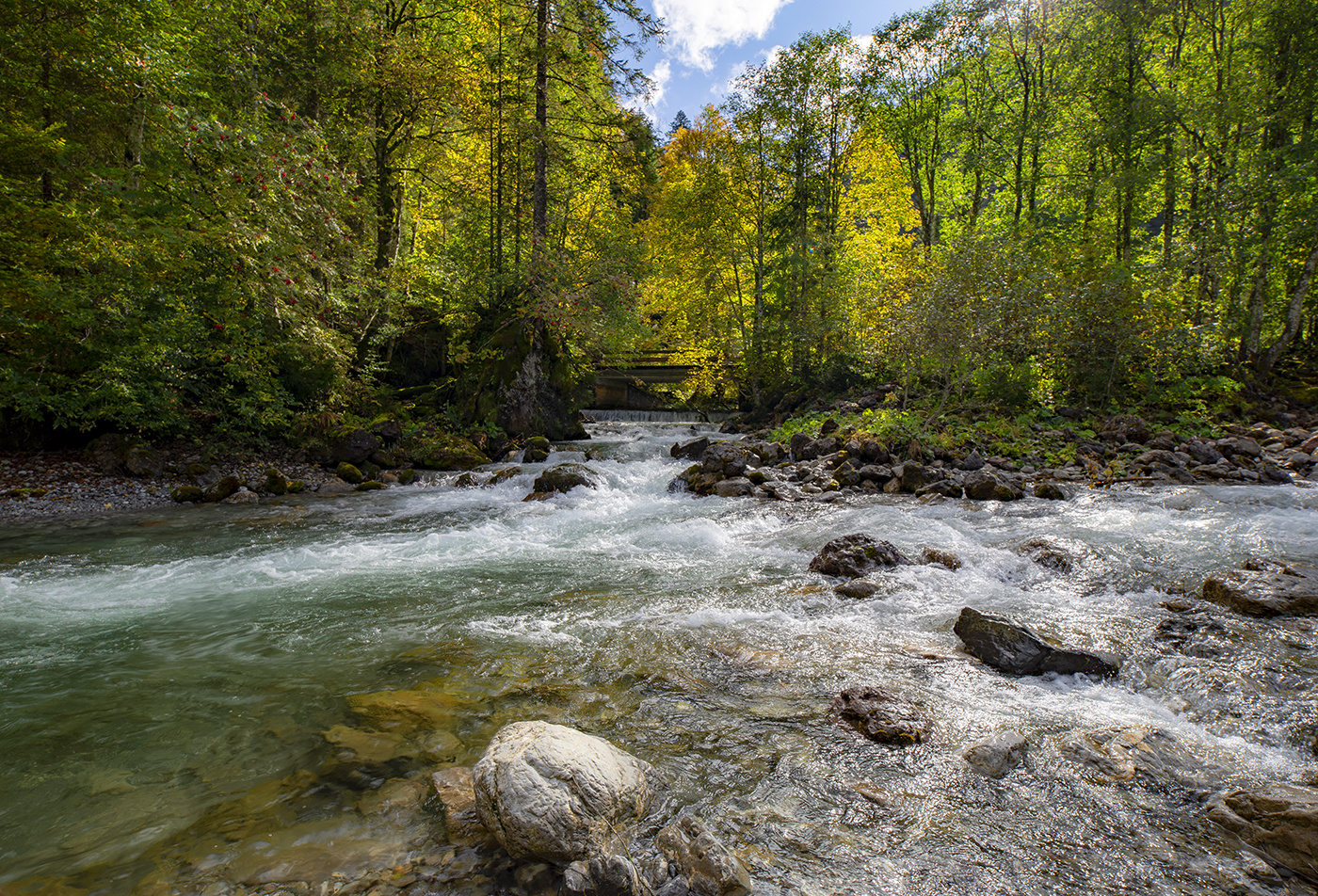 Bärgündelebach trifft Obertalbach