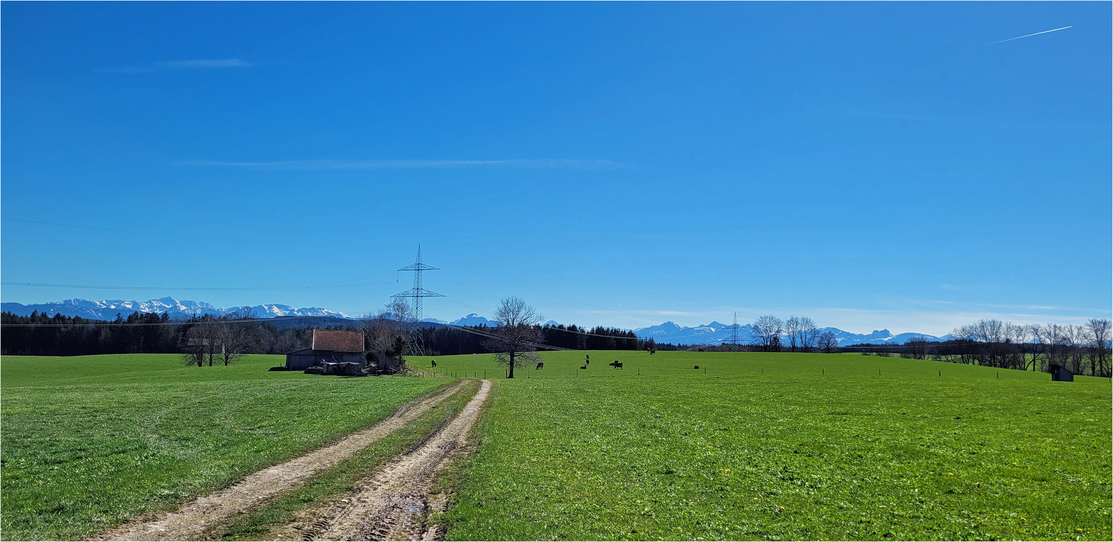 Bäriges Osterwetter 