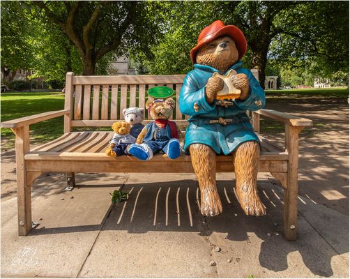 Bärisches Kennenlernen