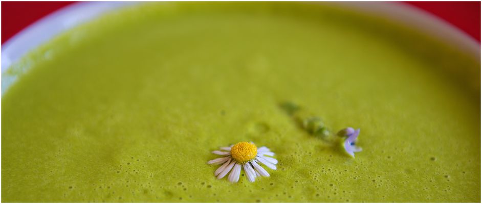 Bärlauch 2022-04-17 Suppe