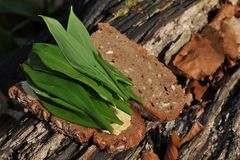 Bärlauch – Brot