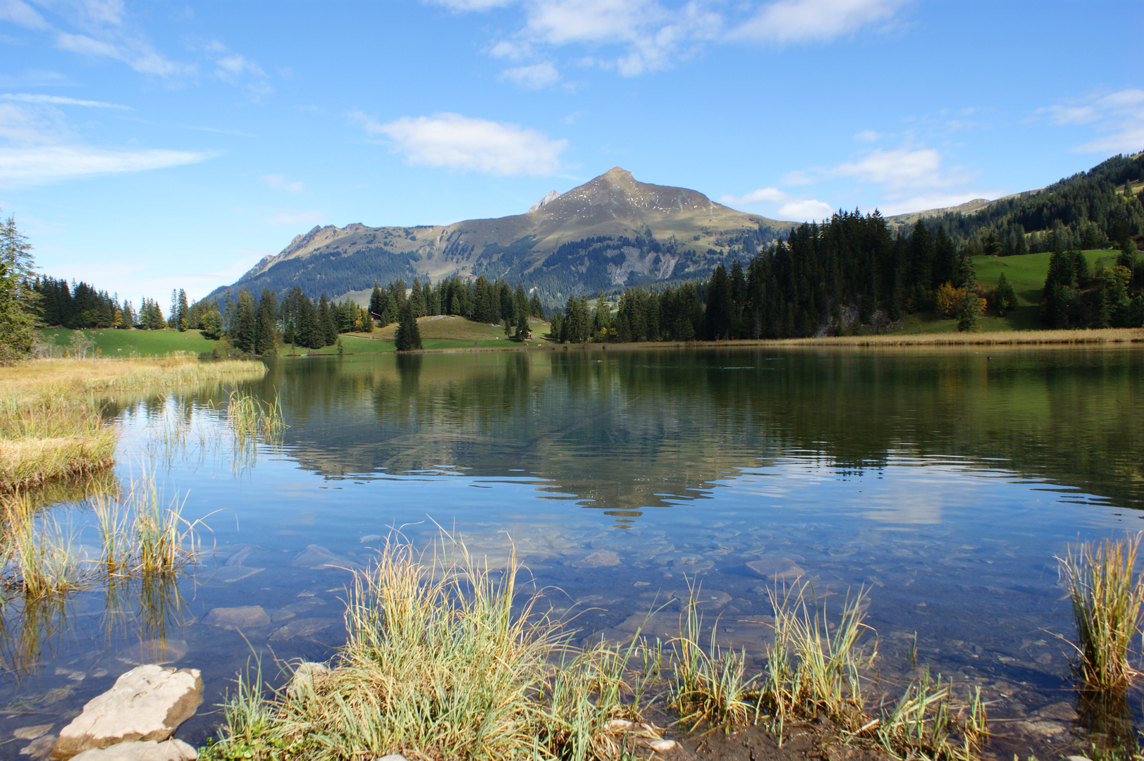 ... Bärner Oberland i sire ganze Pracht ...