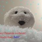 Bärt's Weihnachtskarte