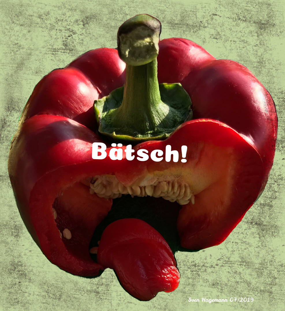 Bätsch-Gemüse 01