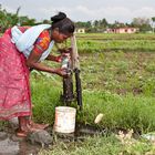 Bäuerin im Terai, Nepal