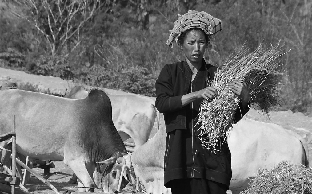 Bäuerin in Burma