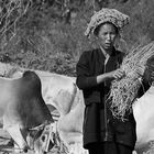 Bäuerin in Burma