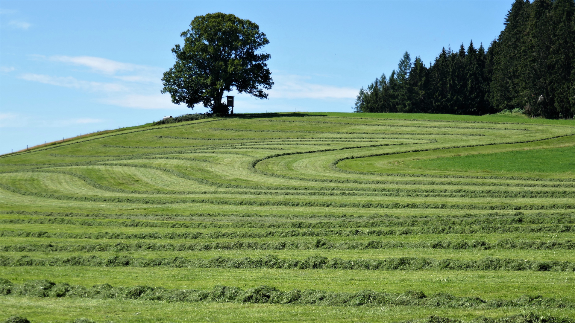 Bäuerlich strukturierte Landschaft.