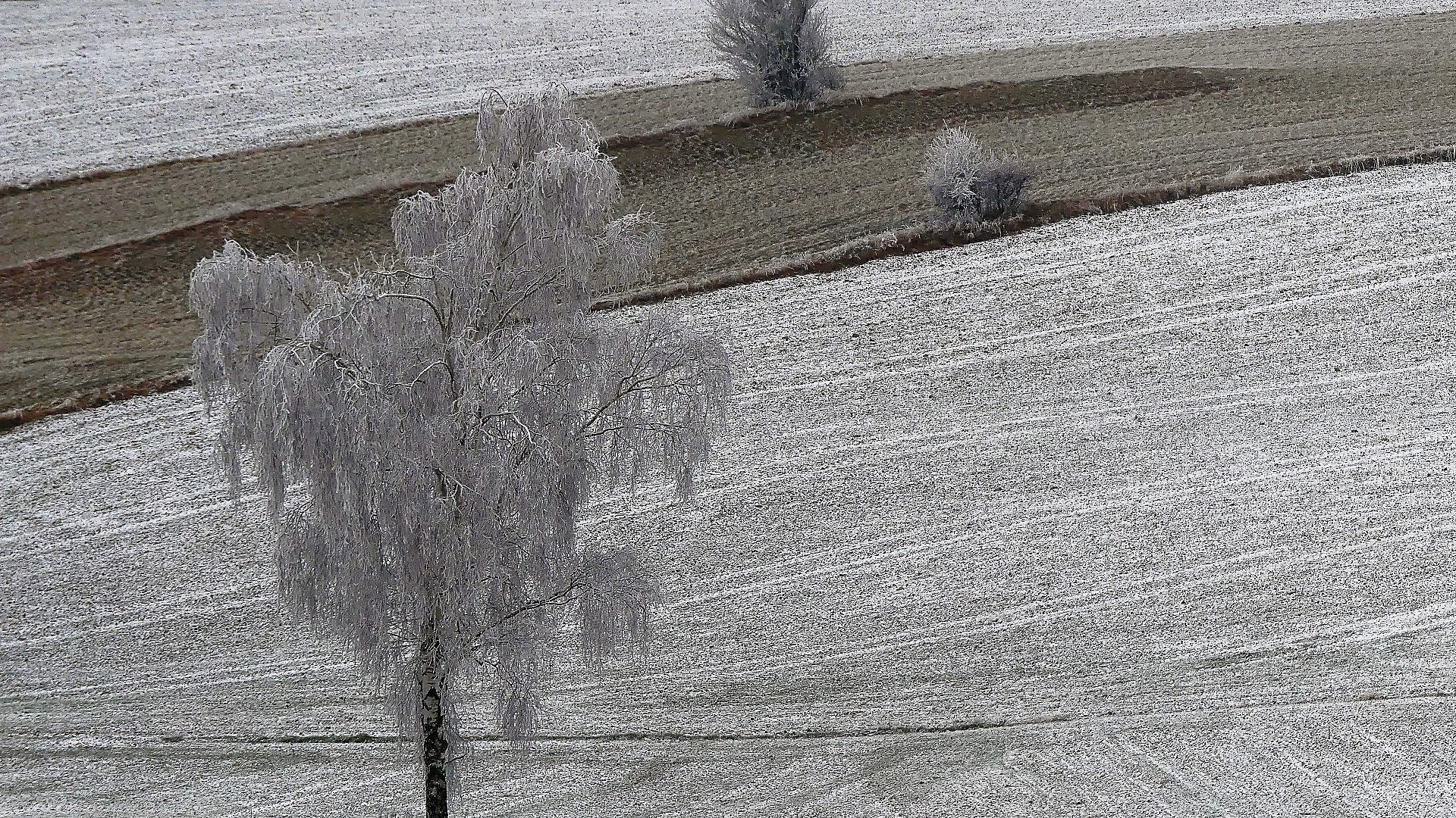 bäuerliche Kulturlandschaft