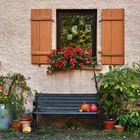 Bäuerliches Herbst-Stillleben