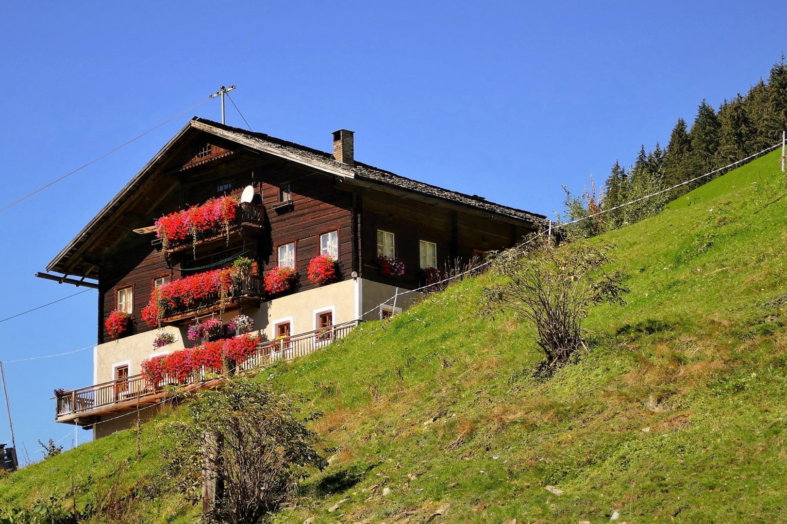 Bäuernhof in steilstem Gelände