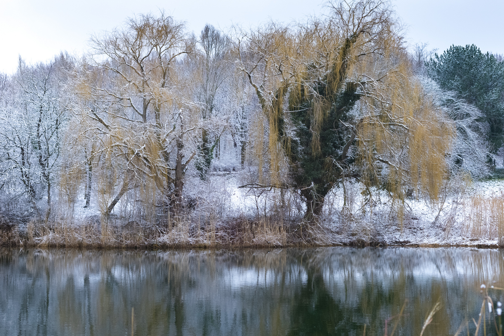 Bäum am See 