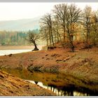 Bäume am Edersee