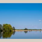 Bäume am See